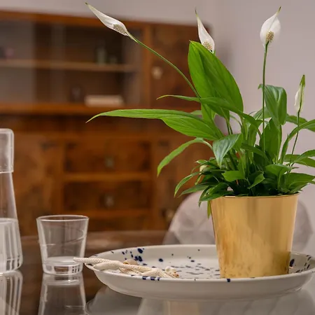 Ecomarina Apartmán *